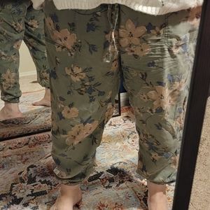 Anthropologie 1x pants